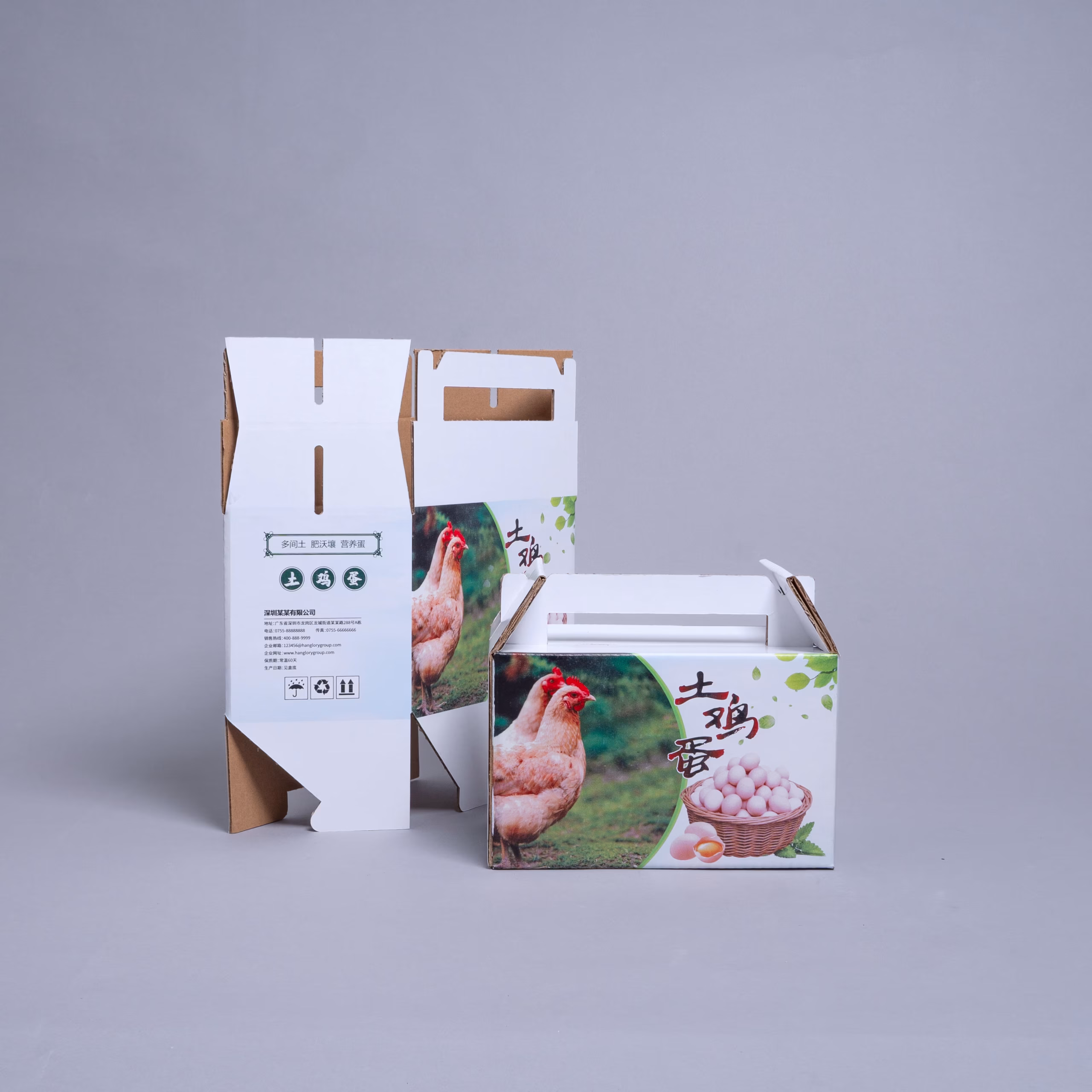 Hộp đựng trứng gà