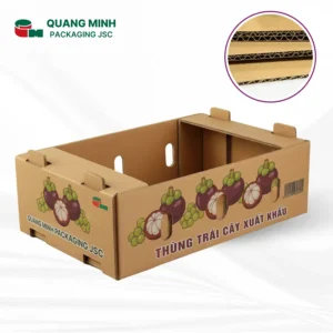 Bao bì carton thông khí cho trái cây xuất khẩu
