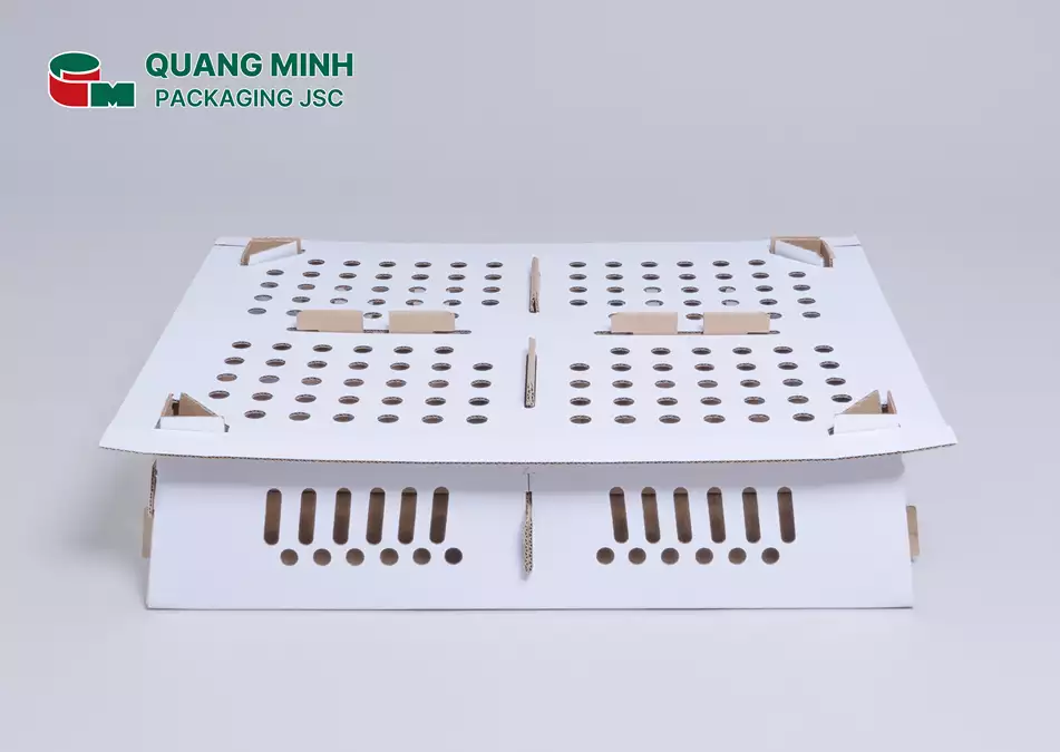 vn34 vn 2 18 Hộp đựng gà con