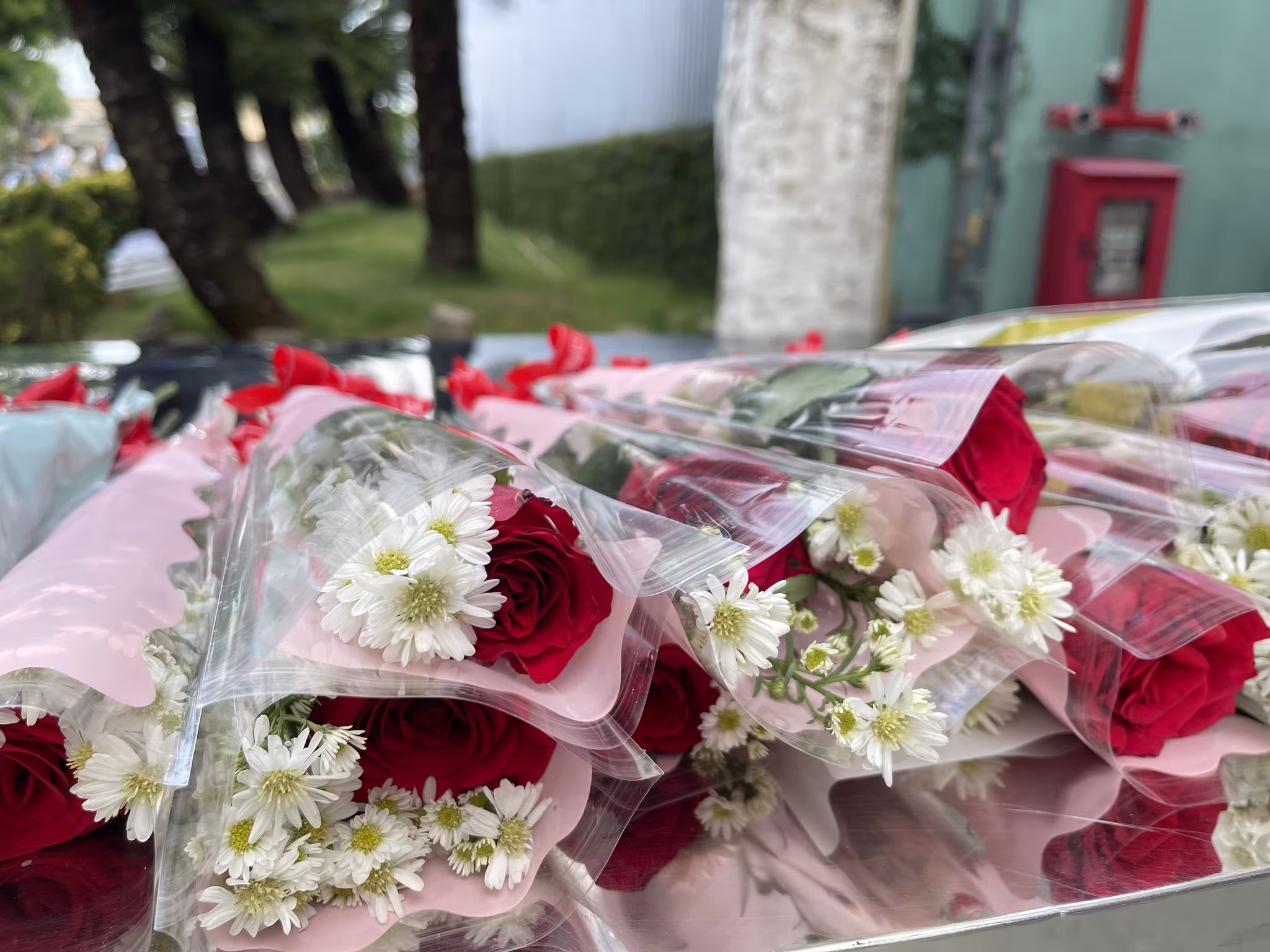 648641046 122229344798045704 7238179308533403499 n Chúc mừng Ngày Quốc tế Phụ nữ 8/3